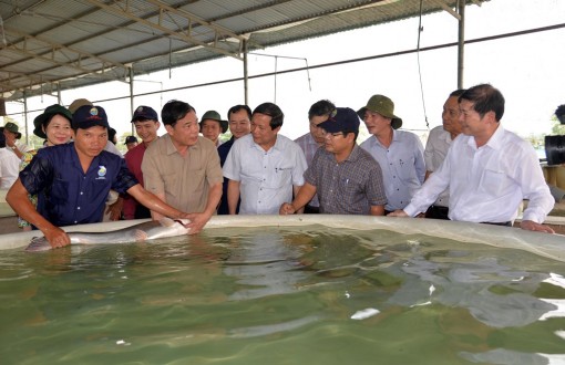 Bộ trưởng Nguyễn Xuân Cường thăm và làm việc với Công ty Cổ phần Nam Việt
