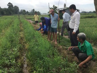 Ứng dụng các tiến bộ khoa học - kỹ thuật vào sản xuất