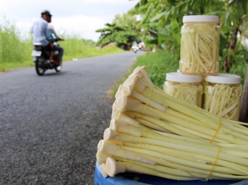 Bồn bồn “vươn mình” thành đặc sản trứ danh Đất Mũi