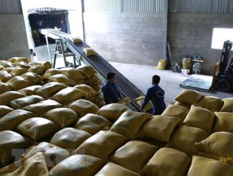 Đầu tháng 3 sẽ công bố giá và đấu thầu thu mua lúa gạo dự trữ