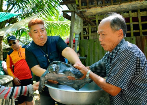 Kiên Giang: U70 nuôi cua đinh nặng 25 ký, du khách tới xem ầm ầm