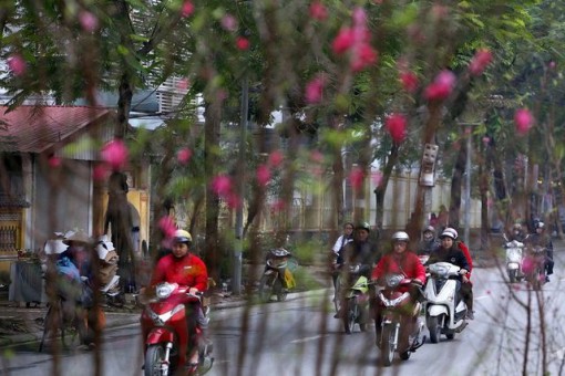 Hà Nội lạnh, nhiệt độ thấp nhất 15 độ C