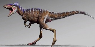 Hóa thạch tiết lộ tổ tiên của "vua các loài khủng long"