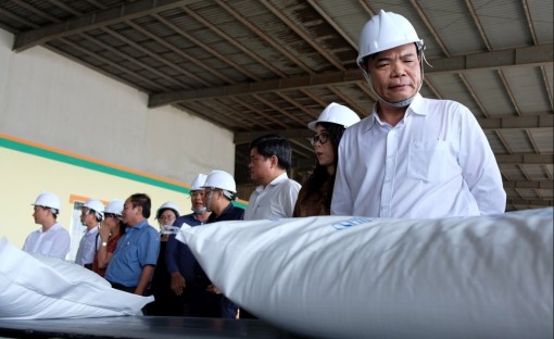 Bộ trưởng NN&PTNT khảo sát tiêu thụ lúa gạo tại tỉnh Đồng Tháp