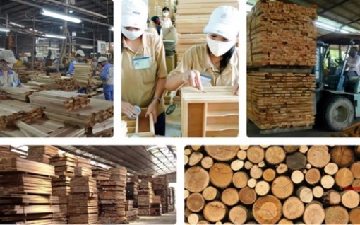 Vào CPTPP, doanh nghiệp gỗ Việt phải thay đổi tư duy kiếm tiền