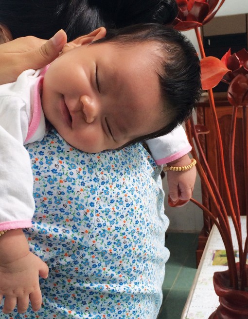 Chuyện “săn heo vàng” năm Kỷ Hợi!