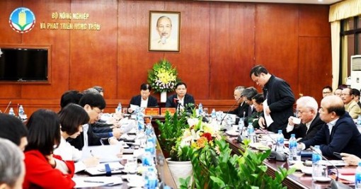 Dịch tả heo châu Phi đã lan ra 6 tỉnh và thành phố, có dấu hiệu lan rộng