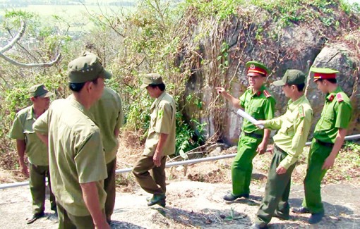 Tây Nam bộ chủ động phòng, chống cháy rừng