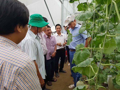 Nông nghiệp hữu cơ là xu thế tất yếu