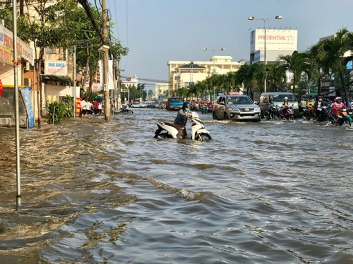ĐBSCL chỉ còn tồn tại 80 năm?