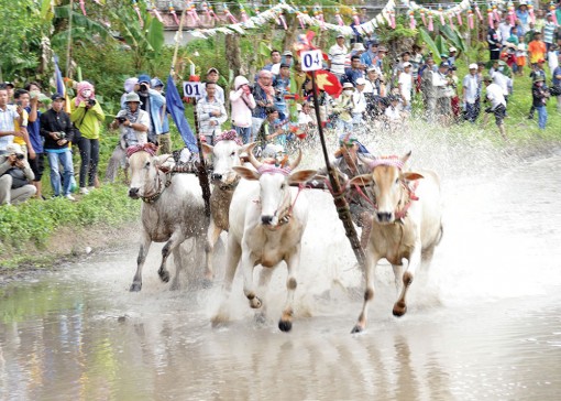 An Giang: Phát triển du lịch vùng đồng bào dân tộc thiểu số Khmer