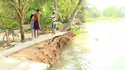 TP Vĩnh Long sạt lở bờ sông nghiêm trọng