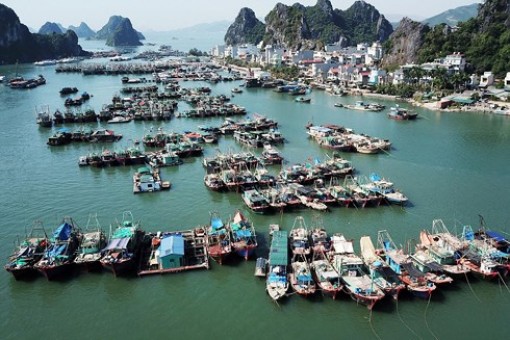 Thủ tướng phê duyệt Nhiệm vụ điều chỉnh quy hoạch chung xây dựng KKT Vân Đồn