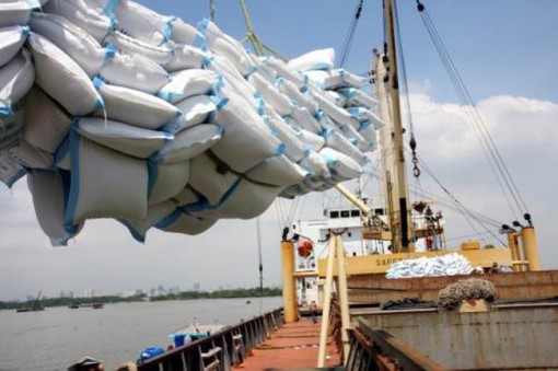 Hàng nông sản xuất khẩu đối mặt với 5 thách thức
