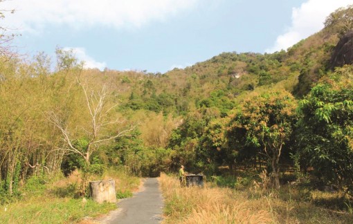 Hơn 7.200ha rừng có nguy cơ cháy cấp 5