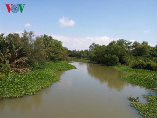 Tiền Giang nỗ lực chống hạn mặn vùng “ngọt hóa”, cù lao ven biển