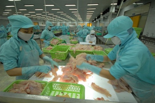 Xuất khẩu cá tra nỗ lực giữ mức giá cao