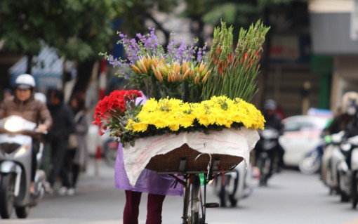 Thời tiết ngày Quốc tế Phụ nữ 8-3: Bắc Bộ mưa rét, Nam Bộ nắng nóng