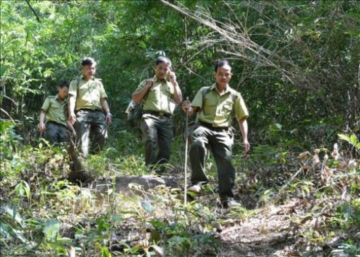 Đồng Tháp kiểm soát, chống xâm nhập rừng trái phép