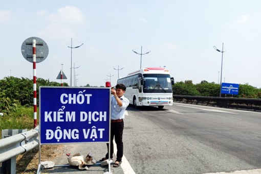 Long An: Thành lập 2 chốt kiểm dịch động vật tại Bến Lức