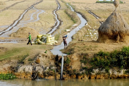 ĐBSCL: Nước sông đang xuống thấp, mặn đổ bộ!