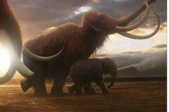 Bước đột phá giúp hồi sinh voi ma mút thời tiền sử trên Trái đất