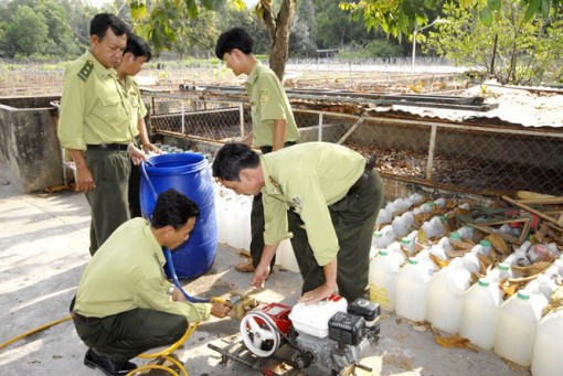 An Giang tăng cường phòng chống cháy rừng