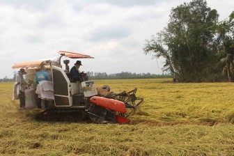 Tiêu thụ tốt sản phẩm nhờ liên kết