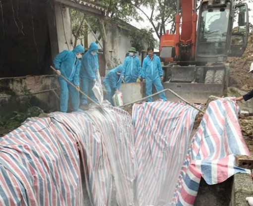 Khẩn cấp chặn heo bệnh lan vào phía Nam