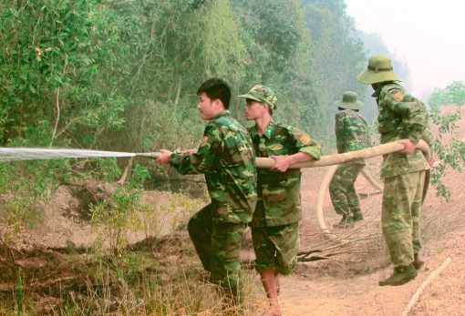 Long An: Cháy rừng tràm, thiệt hại trên 2,2ha