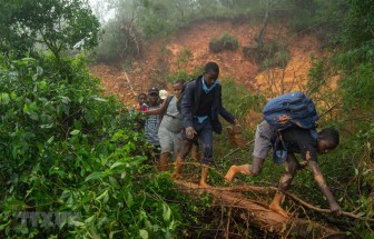 Mozambique: Hơn 1.000 người thiệt mạng do bão nhiệt đới Idai