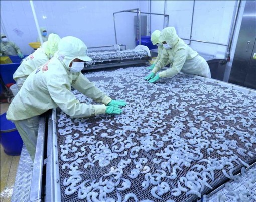 Thủy sản Việt Nam đứng trước cơ hội lớn tại thị trường Mỹ