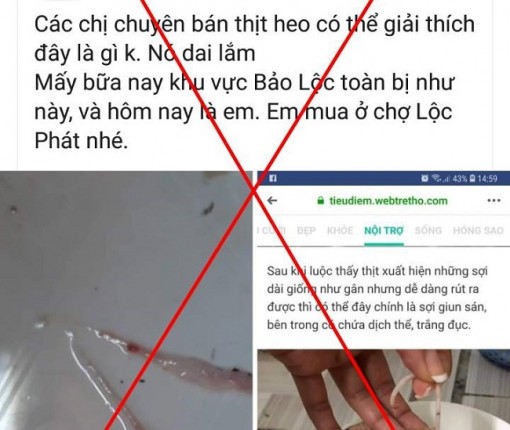 Bị phạt 10 triệu đồng vì tung tin sai sự thật thịt heo nhiễm sán lên facebook