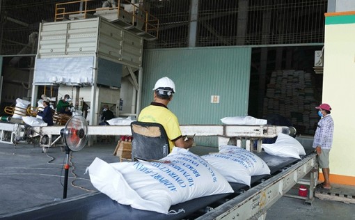 Triển khai hiệp định CPTPP tại TP Cần Thơ
