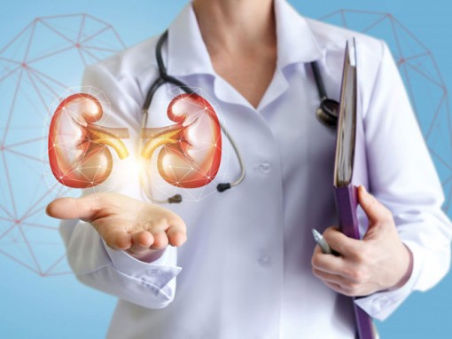 Bạn đã biết cách bảo vệ quả thận chưa?