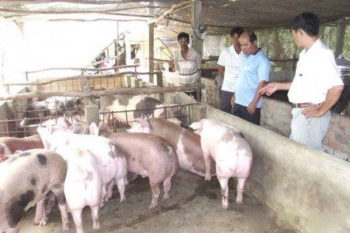 Long An: 10 ngày công bố đường dây nóng, vẫn chưa ai gọi báo dịch