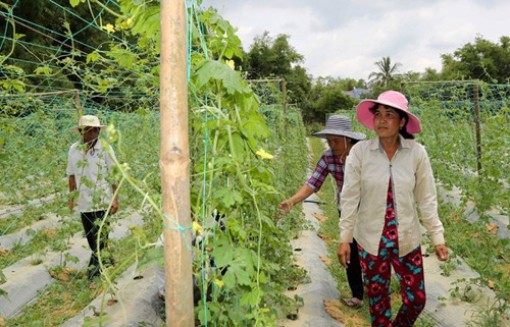 Sóc Trăng: Đời sống đồng bào Khmer khởi sắc