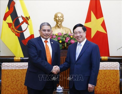 Việt Nam và Brunei nhất trí cùng xem xét tăng thời hạn miễn thị thực cho công dân hai nước