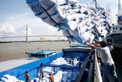 Cơ hội xuất khẩu khoảng 20.000 tấn gạo sang thị trường Ai Cập