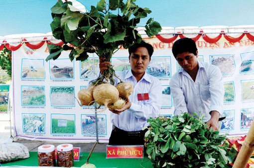Sức trẻ quê hương Bác Tôn