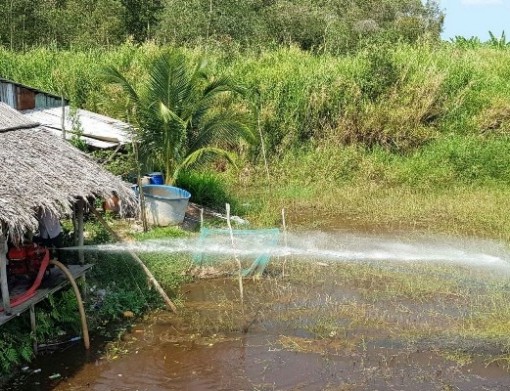 Cà Mau: Nắng nóng, hơn 37.000ha rừng có nguy cơ cháy cao