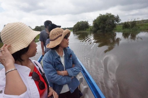 Long An đón trên 770 ngàn lượt khách đến tham quan, du lịch