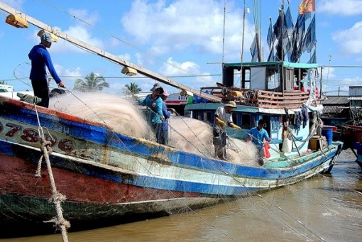 Cà Mau: Triển khai tìm kiếm một ngư phủ mất tích