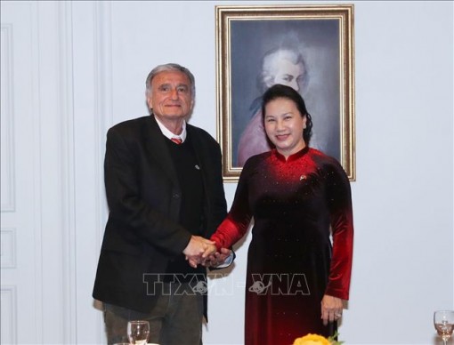 Chủ tịch Quốc hội Nguyễn Thị Kim Ngân gặp Tổng Thư ký Hội hữu nghị Pháp - Việt