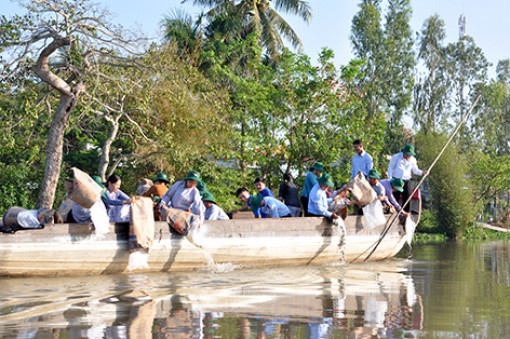 Hậu Giang: Thả hơn 48.000 con cá giống tái tạo nguồn lợi thủy sản