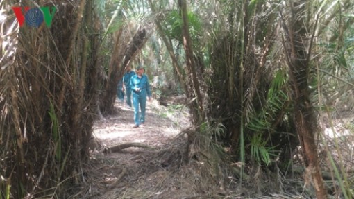 Nắng nóng kéo dài, Vườn chim Bạc Liêu nguy cơ cháy bất cứ lúc nào