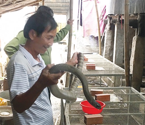 Cựu chiến binh giúp nhau phát triển kinh tế