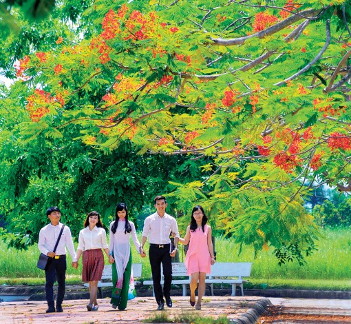 Sắc hoa mùa hạ!