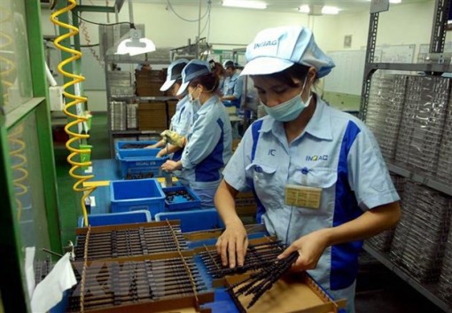 Giới thiệu tiềm năng, lợi thế đầu tư thương mại vào Việt Nam tại Bỉ