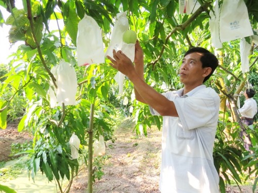 Hiệu quả từ các mô hình “vườn tôi, nhà mình”